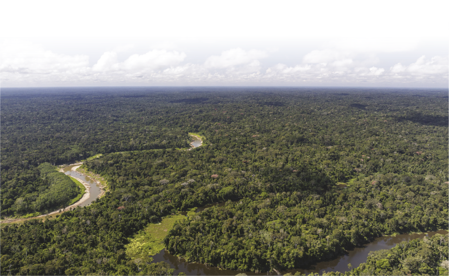 Fotografia com vista de cima de área com floresta densa, entrecortada por rios sinuosos.