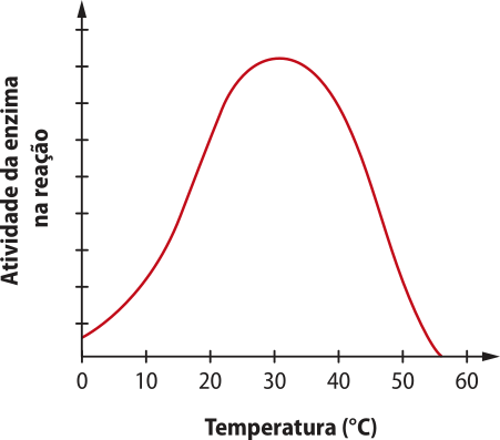 Gráfico de linha. No eixo x, temos a temperatura, em graus Celsius, variando de 0 a 60; no eixo y, temos a atividade da enzima na reação. A curva tem formato de sino: inicia em baixa atividade e a 0 graus Celsius, cresce de forma acentuada até atingir um pico em torno de 30 graus Celsius e, em seguida, decresce rapidamente até aproximadamente 55 graus Celsius, onde não há atividade enzimática.