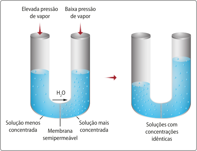 Esquema representando um experimento, em dois momentos. Em ambos há duas soluções em um tubo no formato de u, separadas por uma membrana semipermeável. No primeiro momento, a solução menos concentrada está à esquerda da membrana e a mais concentrada, à direita, e elas estão com os volumes equivalentes. Sobre a solução menos concentrada há uma elevada pressão de vapor e sobre a mais concentrada, uma baixa pressão de vapor. Está ocorrendo o deslocamento de Híndice 2O do lado esquerdo para o direito. No segundo momento, as soluções estão com concentrações idênticas, mas a solução à direita tem maior volume que a solução à esquerda.