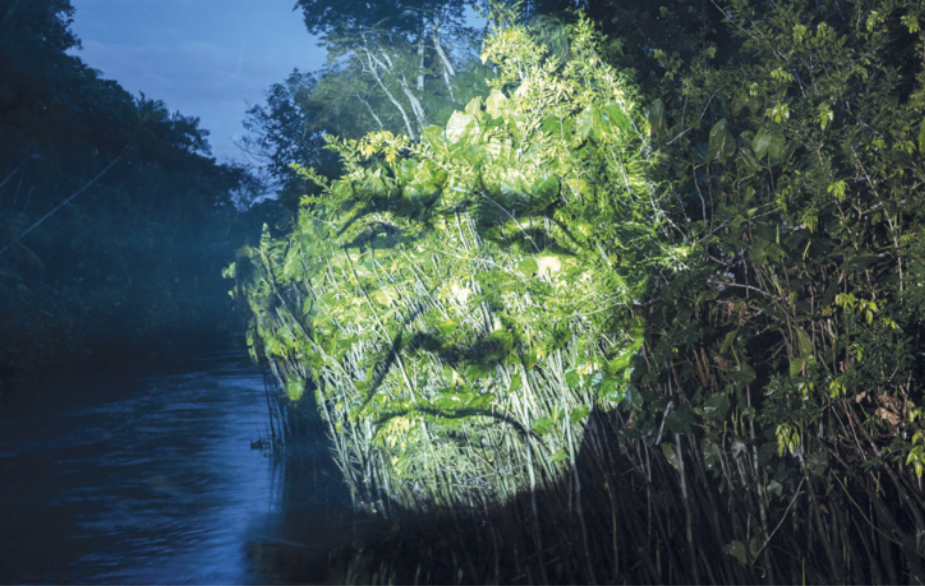 Fotografia de uma paisagem de floresta à margem de um rio, ao entardecer. Um foco de luz é projetado sobre um trecho de vegetação, iluminando-a com a imagem do rosto de uma pessoa indígena idosa, com o semblante sério.