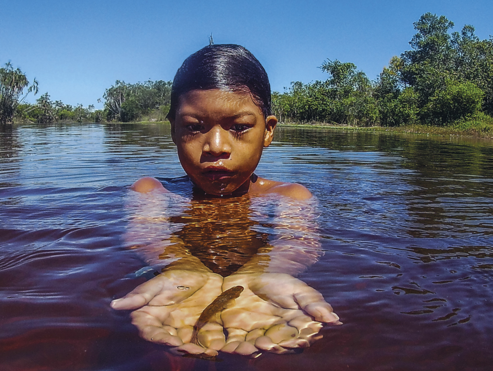 Fotografia de um menino indígena com o corpo imerso em um rio, ao centro de uma paisagem com as margens e a mata ao fundo. Ele está com as mãos abertas e unidas em forma de uma concha ou uma cuia, de modo que um pequeno peixe se acomoda nas mãos dele, próximo à superfície da água.