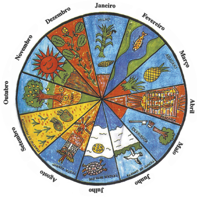 Calendário de formato circular dividido em doze setores referentes aos meses do ano, com ilustrações representando elementos da natureza e da cultura indígena característicos de cada mês. Elas são as seguintes: Janeiro: uma planta com uma espiga de milho, com a legenda 'milho'; Fevereiro: um peixe em rio, com a legenda 'rio cheio'; Março: um abacaxi, com a legenda 'abacaxi'; Abril: uma grelha com peixes na fogueira, com a legenda 'pescaria'; Maio: uma árvore com o tronco cortado por um machado, com a legenda 'derrubada'; Junho: uma gaivota voando no céu, com a legenda 'tempo de gaivota'; Julho: um cágado ao lado de um ninho com ovos em uma praia, com a legenda 'tracajá bota ovo'. Agosto: uma fogueira em frente a um tronco de madeira decorado com pinturas e penas coloridas, com a legenda 'festa kuarup'; Setembro: sacolas com raízes de mandioca e mudas de plantas sobre o solo, com a legenda 'plantio de mandioca'; Outubro: uma árvore com frutos redondos de cor amarela, com a legenda 'pequi'; Novembro: um sol com a cara sorridente, com a legenda 'verão'; Dezembro: uma planta rasteira com melancias e uma flor, com a legenda 'melancia'.