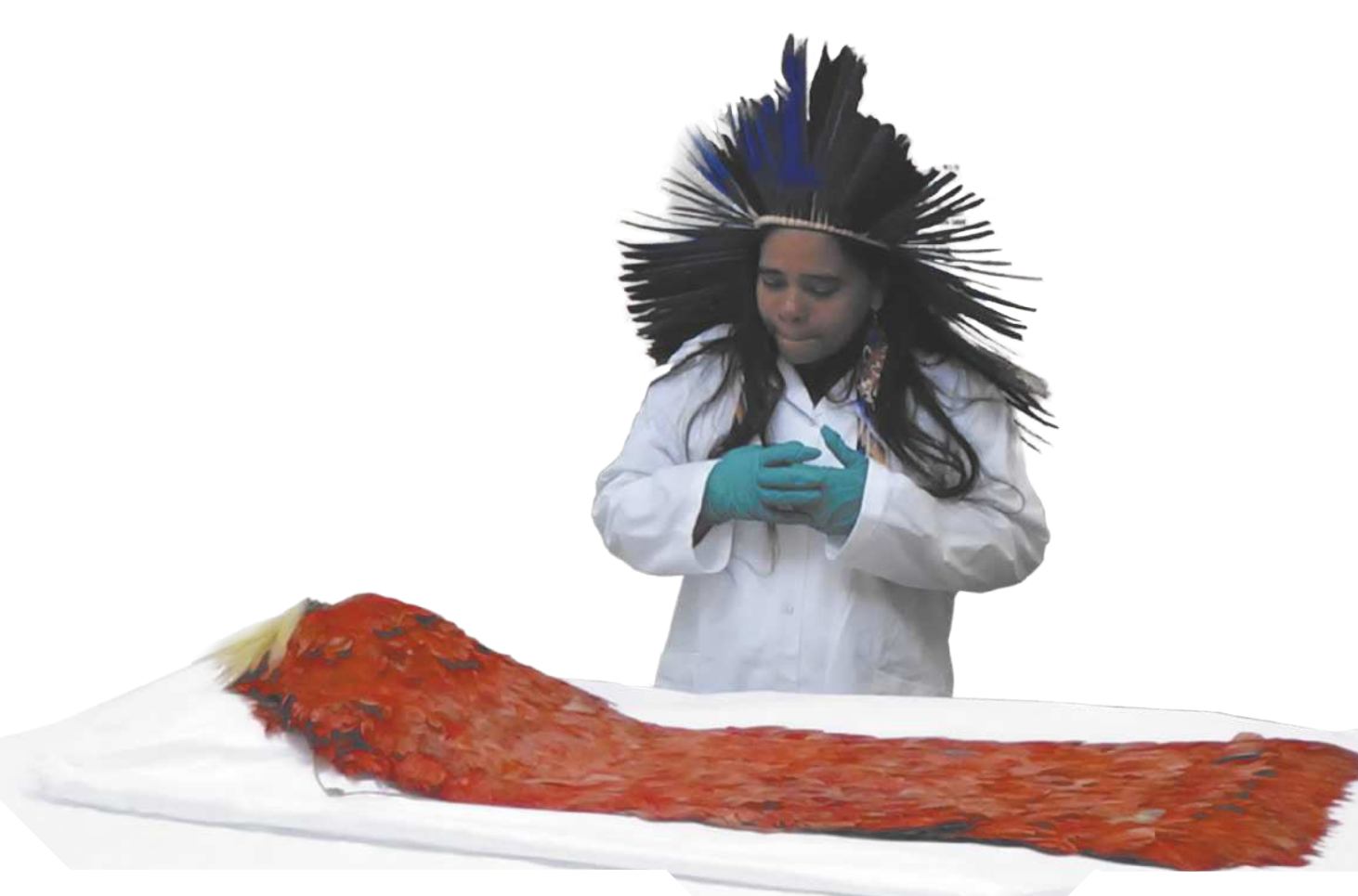 Fotografia de uma mulher indígena usando um cocar de penas e luvas de borracha, vestida com um jaleco. Ela está observando um manto tupinambá que está exposto sobre uma mesa.