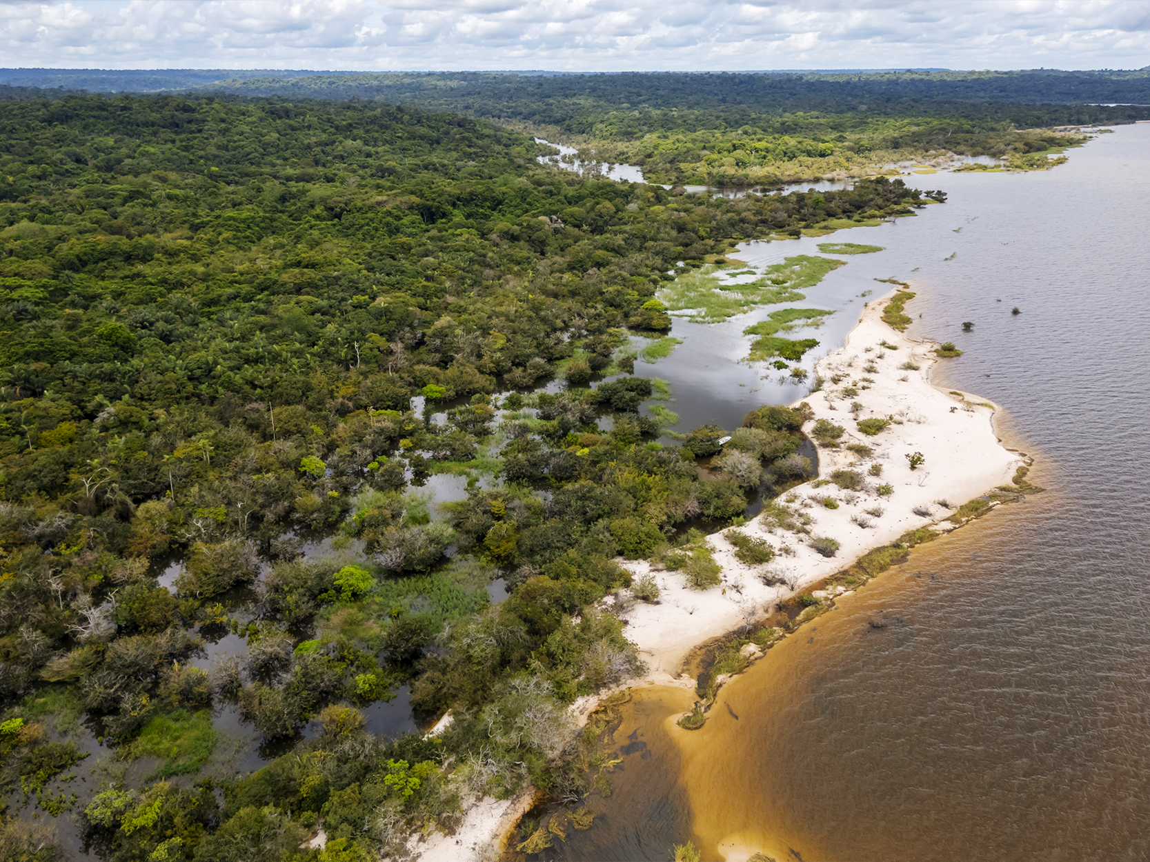 Fotografia com vista aérea de uma floresta próximo de um rio. A floresta é densa, com muitas árvores verdes, e à direita dela está o rio, com águas escuras e uma faixa de areia que contorna parte de sua margem. O céu está claro, com muitas nuvens.