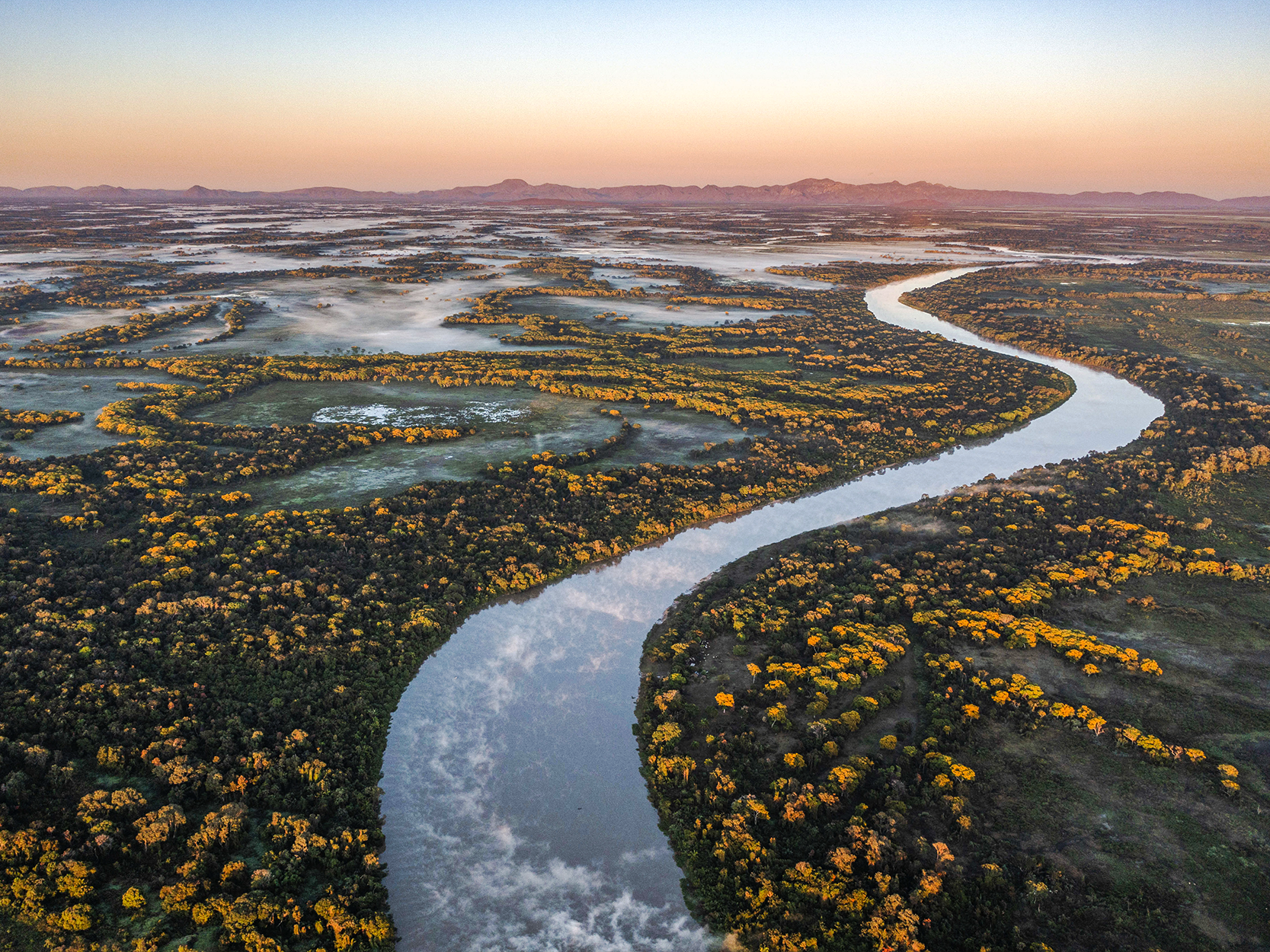 Fotografia com vista aérea de um rio sinuoso rodeado por vegetação verde e com muitas árvores com flores amarelas espalhadas por toda a região. Há partes com vegetação rasteira e neblina em alguns pontos. Ao fundo, há áreas montanhosas. O céu está claro, em tons alaranjados e sem nuvens.