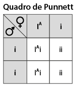 Ilustração de um quadro de Punnett composto por 3 linhas e 3 colunas. Linha 1: coluna 1 tem um símbolo de feminino; coluna 2: I maiúsculo com sobrescrito A maiúsculo; coluna 3: i minúsculo. Na linha 1 e coluna 1 na parte de baixo há um símbolo de masculino. Linha 2: Coluna 1: i minúsculo; Coluna 2: I maiúsculo com sobrescrito A maiúsculo i minúsculo. Coluna 3: i minúsculo i minúsculo. Linha 3: Coluna 1: i minúsculo; Coluna 2: I maiúsculo com sobrescrito A maiúsculo i minúsculo; Coluna 3: i minúsculo i minúsculo.