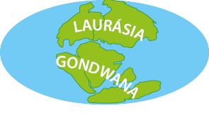 Ilustração do globo terrestre. Na região norte, está a Laurásia composta pela América do Norte, no centro-sul, está Gondwana composto pela América do Sul, África, Índia, Austrália e Antártida.