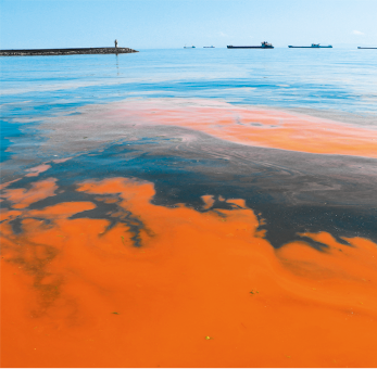 Fotografia da superfície de um mar com água azul contendo uma área com coloração em tons de marrom e laranja.