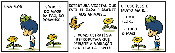 Tirinha em três quadrinhos. Q1. Está dividido em duas nas partes, na qual, em uma delas há uma flor de coloração amarela, e ao lado, Armandinho, um menino com cabelos azuis, camiseta e short vermelho e um sapo sobre a cabeça. Ele está de pé, de frente para a flor. Em cima escrito: UMA FLOR. Na segunda parte do quadrinho, está somente a flor e acima está escrito: SÍMBOLO DO AMOR, DA PAZ, DO ROMANCE... Q2. Há uma borboleta voando ao lado da flor amarela. Acima está escrito: ESTRUTURA VEGETAL QUE EVOLUIU PARALELAMENTE AOS ANIMAIS... Abaixo está escrito: ...COMO ESTRATÉGIA REPRODUTIVA QUE PERMITE A VARIAÇÃO GENÉTICA DA ESPÉCIE. Q3. À esquerda, está a flor de coloração amarela, e à direita, Armandinho, com o sapo sobre a cabeça. Ele está de pé, de frente para a flor e está escrito: É TUDO ISSO E MUITO MAIS...UMA FLOR...E TUDO O MAIS...