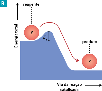 Gráfico B, no eixo vertical está a Energia total com uma seta em direção para cima; e no eixo horizontal está a Via de reação não catalisada, com uma seta em sentido para a direita. O gráfico inicia com a linha na metade do eixo vertical, indo paralelamente ao eixo horizontal, até um ponto onde há uma esfera denominada y, de onde sai um tracejado em direção a parte superior e está escrito reagente. Em seguida, a linha do gráfico sobe fazendo uma pequena curva ascendente, essa área de pico do gráfico está marcada como E a. Em seguida a linha desce quase até o eixo horizontal continuando paralelamente a ele até o final do gráfico, onde há uma esfera denominada x, de onde sai um tracejado em direção a parte superior e está escrito produto. Há uma seta curva, partindo da esfera y, passando pelo pico E a e descendo até a esfera x.