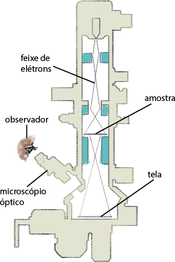 Ilustração de um microscópio eletrônico. Estrutura em formato de um tubo na vertical. À esquerda um olho, o observador, olhando em direção a uma estrutura cilíndrica denominada microscópio óptico. Acima da base do microscópio eletrônico, em uma superfície plana, a tela. Das extremidades da tela, saem duas linhas que se cruzam e passam por uma região mais afunilada, até outra superfície plana, denominada amostra. Das extremidades da amostra, saem duas linhas que se cruzam e passam por uma região mais afunilada. As linhas se cruzam novamente acima, em uma região denominada de feixe de elétrons. As linhas passam então por uma região mais afunilada e finalizam na parte superior do microscópio eletrônico.