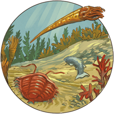 Ilustração do fundo do mar. Há um animal nadando, o corpo é cilíndrico e apresenta tentáculos, semelhante a uma lula. No substrato, há um animal com corpo oval, achatado e segmentado, semelhante a um crustáceo e o outro a um peixe. Nas laterais, há estruturas cilíndricas semelhante as esponjas-do-mar e, algas com aspecto de folhas.