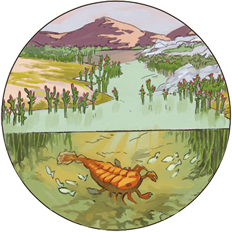 Ilustração de um animal semelhante a uma lagosta, com corpo segmentado e apêndices, dentro da água. No entorno, há peixes e plantas com flores para fora da superfície da água. No entorno deste corpo d’água, há vegetação e montanhas.