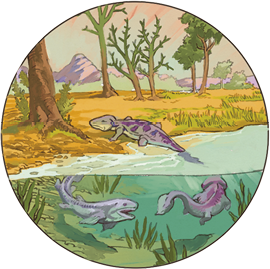 Ilustração de três animais semelhantes a lagartos, quadrúpedes com corpo longo e cauda. Dois animais estão dentro da água e um está saindo da água, e sobre vegetação. Ao fundo há vegetação e montanhas.