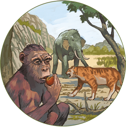 Ilustração de um local aberto com um animal quadrúpede de grande porte, com tromba e presas grandes. À frente, há um felino, animal quadrúpede com pelagem rajada. Sentado à frente há um hominídeo, com corpo coberto de pelos, e a região dos olhos proeminentes, segurando um alimento próximo a boca.