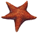 Ilustração de uma estrela-do-mar, animal com 5 braços com extremidades afiladas.