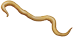 Ilustração de uma lombriga, animal com corpo cilíndrico e extremidades afiladas.