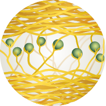Ilustração composta por fitas horizontais emaranhadas na parte superior e inferior e, ao centro, algumas fitas verticais, com uma esfera presa em suas extremidades.
