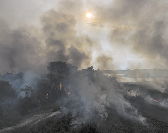 Fotografia de uma área de vegetação com focos de fogo e muita fumaça subindo e encobrindo o céu e parte do sol que está centralizado na parte superior.
