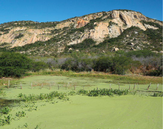 Fotografia de uma paisagem com céu azul e um morro, ao fundo, apresentando rochas claras e um pouco de vegetação. O lado direito é mais alto e declina para o esquerdo. Logo abaixo, em primeiro plano, há uma grande lagoa esverdeada com várias algas.