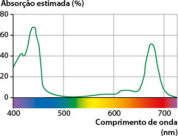Gráfico de linha. No eixo vertical, está a absorção estimada em porcentagem, variando entre 0 e 80. No eixo horizontal, está o comprimento de onda em nanômetro, variando entre 400 e 700 e, abaixo, há uma barra de escala em cores. A linha inicia no eixo vertical entre 20 e 40 por cento, é ascendente com um pico entre 60 e 80 por cento no eixo vertical e entre 400 e 500 nanômetros, com coloração variando na escala de roxo a azul no eixo horizontal. A linha torna-se descendente em zero por cento no eixo vertical e entre 500 e 600 nanômetros, com coloração variando de verde a tons de amarelo e laranja, no eixo horizontal. A linha volta a ser ascendente com pico entre 40 e 60 por cento para o eixo vertical e, entre 600 e 700 nanômetros, com coloração variando de laranja a vermelho no eixo horizontal. A linha torna-se descendente, finalizando em 0 por cento no eixo vertical e, no eixo horizontal, acima de 700 nanômetros, com coloração roxa.