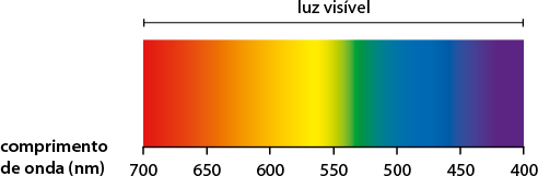 Ilustração de uma faixa com comprimento de onda em nanômetros, da esquerda para a direita com os valores de 700, 650, 600, 550, 500, 450 e 400. Há diferentes tons de cores na faixa, denominado luz visível: de 700 a 650, começa com a cor vermelha e chega na cor laranja escuro: de 650 a 600, começa com a cor laranja escuro e vai até laranja claro; de 600 a 550, começa com a cor laranja claro, passa pela cor amarela e chega à cor verde; de 550 a 500, começa com a cor verde e chega à um tom de azul; de 500 a 450, há tons de azul; e de 450 a 400, começa com a cor azul escuro e chega à roxo escuro.