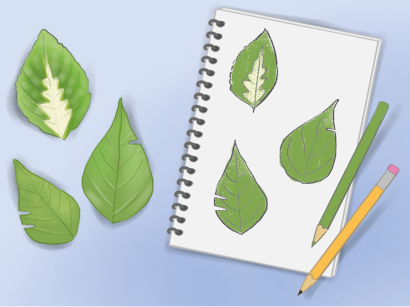 Ilustração de três folhas de formato e coloração diferentes, uma está com coloração branca ao centro. Ao lado um caderno espiral com o desenho das três folhas e um lápis grafite e outro verde.