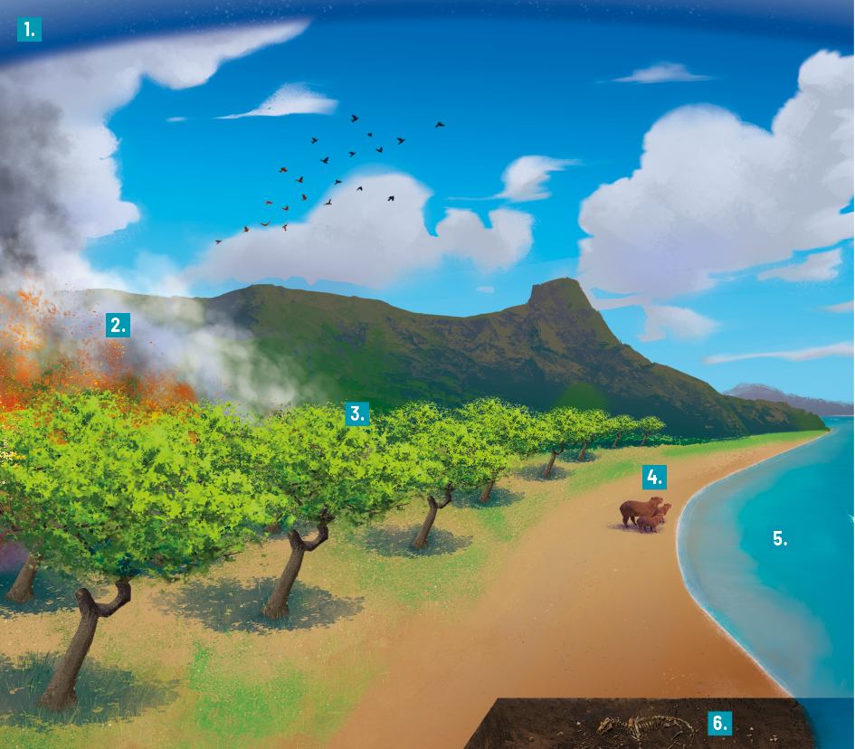 Ilustração de uma paisagem litorânea apresentando um céu azul com nuvens e vários pássaros voando. Na margem superior do céu há uma faixa azul mais escura e com a indicação do número 1. Logo abaixo há uma montanha com vegetação que termina no mar, este se encontra à direita e com a indicação do número 5. No lado esquerdo do mar há uma faixa de areia e nela se encontra 3 capivaras com a indicação do número 4; mais à esquerda há várias árvores com a indicação do número 3 e algumas estão pegando fogo, delas saem fumaça e tem a indicação do número 2.