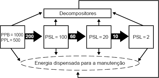 Esquema em três linhas. Na primeira linha está escrito: Decompositores. Na linha abaixo, da esquerda para direita há um quadrado escrito: P P B igual 1000; P P L igual 500; seta para direita com escrita 200; quadrado com escrita P S L igual 100; seta para direita escrito 60; quadrado com escrita P S L igual 20; seta para direita escrito 10; quadrado com escrita P S L igual 2. Há setas de todos os quadrados descritos dessa linha para decompositores. Também há setas de todos os quadrados para a terceira linha onde está escrito: Energia dispensada para a manutenção. E há uma seta que sai de decompositores e aponta para terceira linha.