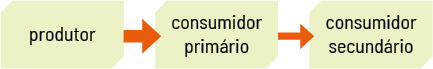 Esquema horizontal de palavras e setas. Inicia com: produtor, seta para direita, consumidor primário, seta para direita, consumidor secundário.