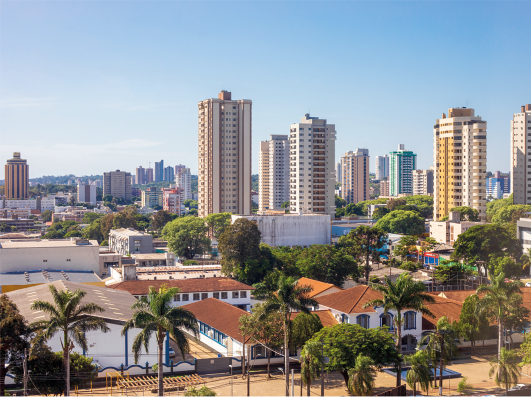 Fotografia panorâmica de uma grande cidade com casas, edifícios e arborização.