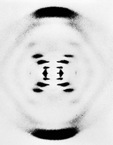 Fotografia de uma radiografia com 3 círculos levemente aparentes e achatados nos polos com uma parte espessada mais escura. Ao centro, há 7 pequenos traços formando uma estrutura que lembra um X.