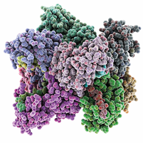 Fotografia de uma estrutura tridimensional altamente detalhada, volumosa e irregular, com múltiplas dobras e interações e composta por inúmeras esferas pequenas organizadas de maneira densa e com uma variedade de cores, incluindo tons de verde, roxo, azul, cinza e rosa.