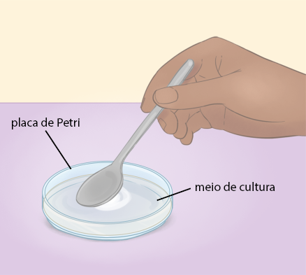 Ilustração de um pequeno prato transparente com bordas um pouco elevadas e com a indicação: placa de Petri. No seu interior há uma substância transparente com a indicação: meio de cultura; e há uma mão segurando uma colher encostada nesta substância com uma parte esbranquiçada embaixo dela.