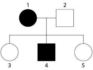 Ilustração de um heredograma no sentindo vertical em duas linhas. Linha 1: um círculo preenchido, com a indicação do número 1, ligado a um quadrado não preenchido, com a indicação do número 2. A ligação entre eles bifurca para baixo. Linha dois: um círculo não preenchido, com a indicação do número 3, ligado a um quadrado preenchido, com a indicação do número 4 e um círculo não preenchido, com a indicação do número 5.