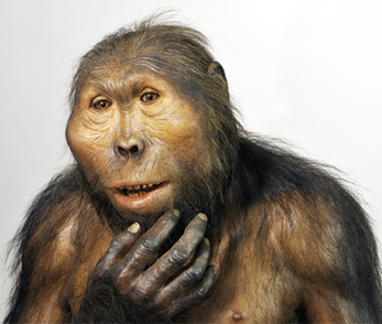 Fotografia de uma estátua de hominíneo. O corpo é recoberto de pelos, o rosto redondo, com as maçãs do rosto proeminentes, olhos pequenos e próximos. Ele está com a mão tocando o queixo.