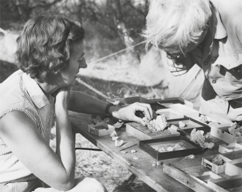 Fotografia em preto e branco de uma mulher e um homem no entorno de uma mesa com caixas e fragmentos ósseos. Eles estão observando e segurando alguns itens.