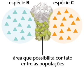 Ilustração de um círculo azul com triângulos azuis dentro e um círculo laranja com triângulos laranjas dentro. O círculo à esquerda denominado espécie B e o círculo à direita denominado espécie C. Entre eles há uma cadeia de montanhas denominada barreira geográfica e uma área de vegetação intitulada área que possibilita contato entre as populações.