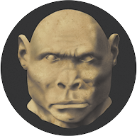 Fotografia de uma cabeça de um hominíneo sem cabelo, rosto com formato hexagonal e largo, nariz largo, com os orifícios grandes, lábios grossos, ossos da sobrancelha e bochecha proeminentes.
