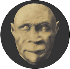 Fotografia de uma cabeça de um hominíneo sem cabelo, rosto redondo, nariz largo, lábios finos, ossos da sobrancelha e bochecha proeminentes.