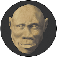 Fotografia de uma cabeça de um hominíneo sem cabelo, rosto oval, nariz largo, lábios grossos, e olhos próximos um do outro.