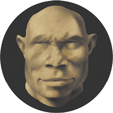 Fotografia de uma cabeça de um hominíneo sem cabelo, rosto com formato quadrado e largo, nariz largo e lábios grossos.