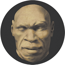 Fotografia de uma cabeça de um hominíneo sem cabelo, rosto com formato retangular, nariz largo e lábios grossos.