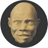 Fotografia de uma cabeça de um hominíneo sem cabelo, rosto com formato oval, nariz mais fino e lábios grossos.