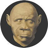 Fotografia de uma cabeça de um hominíneo sem cabelo, rosto com formato oval, nariz largo e lábios grossos.