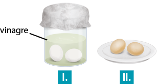 Ilustração de frasco transparente tampado com um material cinza e indicado por 1. No frasco contém vinagre e 2 ovos brancos. Ao lado, indicado por 2 há um prato contendo 2 ovos marrons.