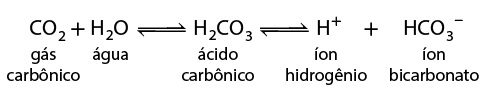 Esquema com uma reação química. Da esquerda para direita: C O 2 indicado como gás carbônico, mais H 2 O indicado como água, seta dupla, H, 2, C, O 3, indicado como ácido carbônico, seta dupla, H com sobrescrito mais indicado como íon hidrogênio, mais H C O 3 menos subscrito indicado como íon bicarbonato.
