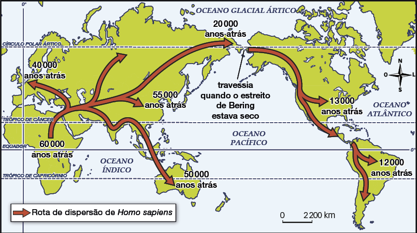 Mapa com vários continentes do mundo e com setas indicando a rota de dispersão de Homo sapiens. Os continentes África, Europa, Ásia e Oceania estão representados à esquerda, enquanto o continente americano está representado à direita. Na África está indicado 60000 anos atrás, e dessa indicação saem cinco setas: uma delas aponta para o oeste europeu indicando 40000 anos atrás; outra aponta para a Oceania indicando 50000 anos atrás; e as outras três apontam para Ásia, sendo uma ao Sul indicando 55000 anos atrás, e outra ao extremo leste indicando 20000 anos atrás. Ao lado há um trecho indicado por: travessia quando o estreito de Bering estava seco, de onde partem mais duas setas para o continente americano logo ao lado. Uma seta aponta para a América do Norte indicando 13000 anos atrás, e a outra aponta para América Central, de onde saem mais duas setas, apontando para América do Sul, uma delas ao leste indicando 12000 anos atrás, e a outra apontando para o extremo sul.