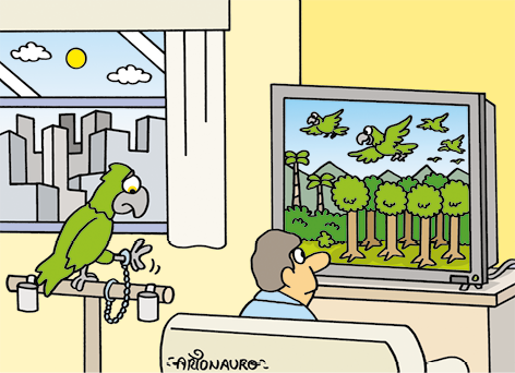 Charge de um homem visto de costas sentado em um sofá de frente para uma televisão com a imagem de uma floresta com papagaios voando. Ao lado esquerdo do homem, há um papagaio sobre um poleiro olhando para uma de suas pernas acorrentada a ele. Ao fundo, há uma janela com a cortina aberta, o céu ensolarado com algumas nuvens e vários prédios.