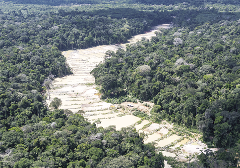 Fotografia de uma floresta densa com árvores altas e copa bem fechada e no meio dela há uma parte do terreno com o solo totalmente descoberto e com ondulações.